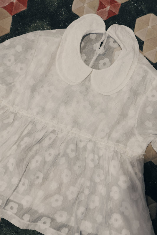 Fafa🌼 雙層娃娃領半透感blouse｜1色入